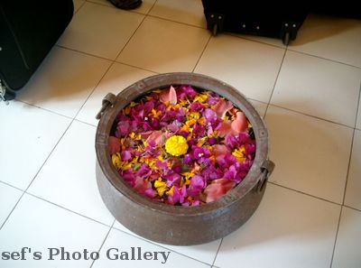 BegrÃ¼ÃŸung
05.11.2012
BegrÃ¼ÃŸung im Hotel in Chitwan
Schlüsselwörter: Nepal Chitwan