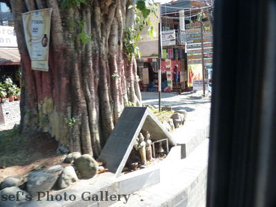 Baum
06.11.2012
mit Tempel am Stamm
Schlüsselwörter: Nepal Pokhara