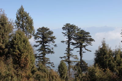 Aussicht
10.11.2012
Schlüsselwörter: Bhutan Dochula Pass
