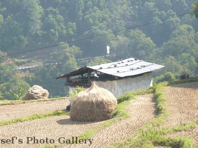 Reisfeld 1
10.11.2012
Schlüsselwörter: Bhutan
