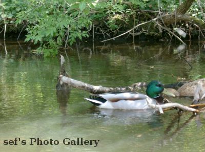wir sind nicht alleine da
Schlüsselwörter: Paddeln Leipzig