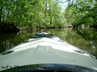 Stellenweise ist es schattig
Schlüsselwörter: Paddeln Leipzig