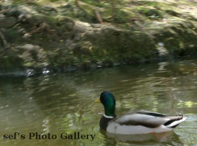 Wir waren nicht alleine
Schlüsselwörter: Paddeln Leipzig