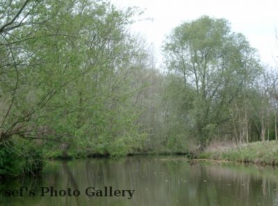Landschaft pur
Schlüsselwörter: Paddeln Leipzig