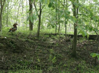 An Land herrscht reges Leben
Schlüsselwörter: Paddeln Leipzig