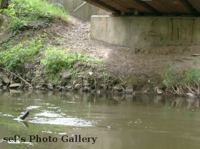 unter der BrÃ¼cke
Schlüsselwörter: Paddeln Leipzig