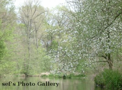 alles In BlÃ¼te
Schlüsselwörter: Paddeln Leipzig