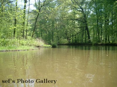 PleiÃŸe richtung Cossbudener See
Schlüsselwörter: Paddeln Leipzig
