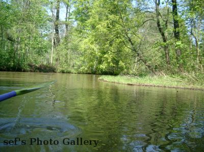Hier mÃ¼ssen wir uns fÃ¼r den witeren Weg entscheiden
Schlüsselwörter: Paddeln Leipzig
