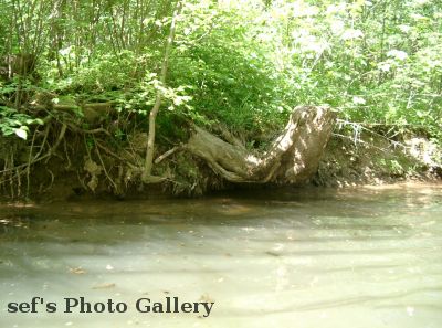 Typisches Bieberversteck
Schlüsselwörter: Paddeln Leipzig