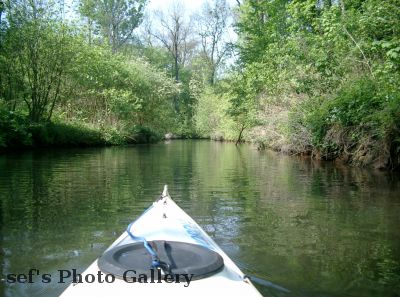 Durch den Auwald geht es sehr gemÃ¤chlich
Schlüsselwörter: Paddeln Leipzig