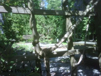 Fuchs auf Arbeit
Ja, das Dienst-BB hat eine besch... Kamera.
Hier sind zwei FÃ¼chse drauf; nur nicht zu erkennen.
Schlüsselwörter: Fuchs