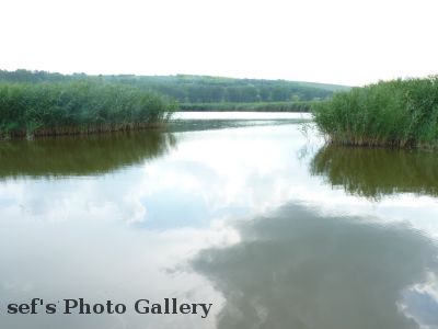 Moldawien
14.07.
Der See aus der NÃ¤he
Schlüsselwörter: Moldawien Fahrt