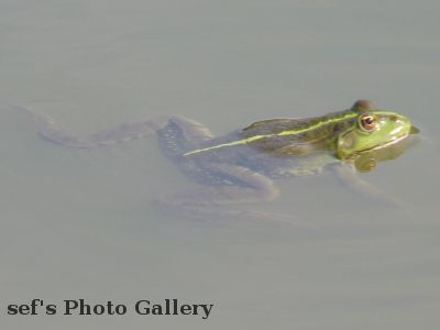 Chisinau
15.07.
spielt "toter Frosch"
aus 2010 Ungarn, Ukraine, Moldawien, RumÃ¤nien
Schlüsselwörter: Chisinau