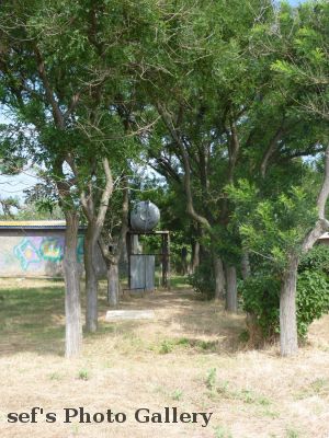 Lebedivka
20.07.
ein alter Weg
Schlüsselwörter: Lebedivka