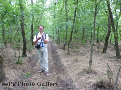 Lebedivka
20.07.
Die MÃ¼cken fressen ein fÃ¶rmlich auf
Schlüsselwörter: Lebedivka