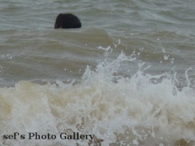 Lebedivka
20.07.
Schwimmen im schwarzen Meer
Schlüsselwörter: Lebedivka Strand