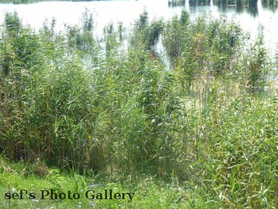 Brasov
22.07.
Landschaft
Schlüsselwörter: Brasov Fahrt