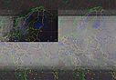 noaa-18-05181810-norm.jpg