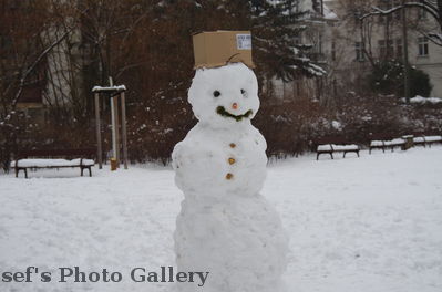 Schneemann... im Schillerhain..Leipzig 2013
