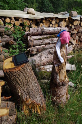 GrundstÃ¼ck in Brandenburg
