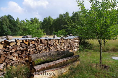 Onkel Micha`s GrundstÃ¼ck in Brandenburg
